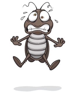 pestAway6 pestAway6