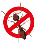 ant-removal ant-removal