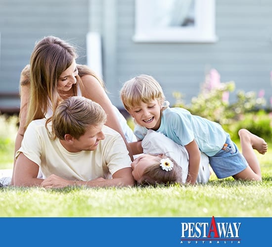 PestAway-Home-Pest-Control
