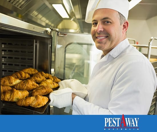 PestAway-Pest-Control-Food PestAway-Pest-Control-Food