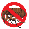 bugs