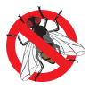 bugs
