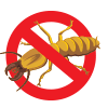 bugs
