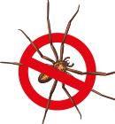 spider-removal spider-removal